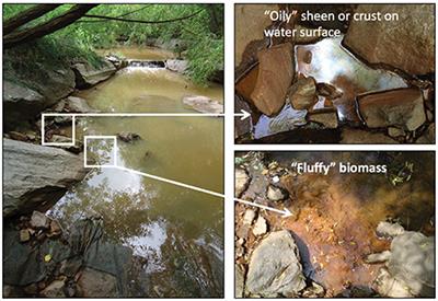 Soil and Water Iron Microbes in North Carolina (SWIMNC) Outreach: Positive Impact of Combining Classroom and Field Experiences to Promote Learning and Shift Attitudes